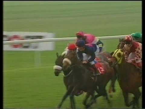 1993 Ladbrokes Handicap