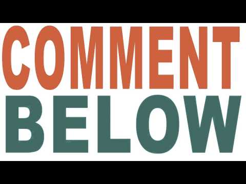 Animals Doing The Same Stuff (nowtelugu.com)