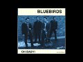 Bluebirds -  Big Mamou