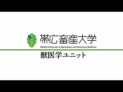共同獣医学課程説明会① 「獣医学ユニット紹介」