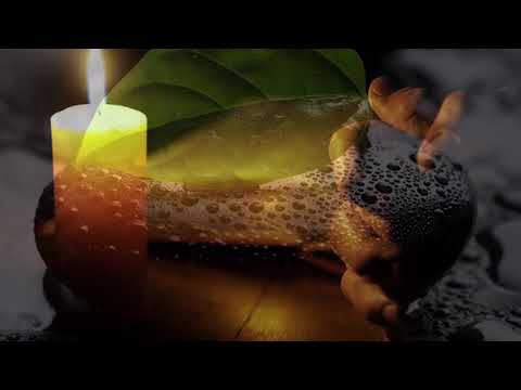 Một kiếp nhân sinh - Mai Quốc Việt