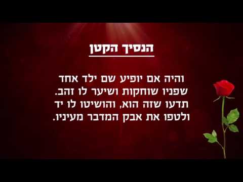 download lagu mp3 mp4 הנסיך הקטן מילים, download lagu הנסיך הקטן מילים gratis, unduh video klip הנסיך הקטן מילים
