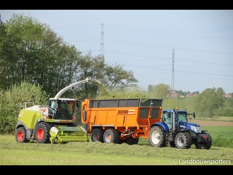 Claas Jaguar 950 Dynamic Power & Dezeure - Gras hakselen 2016 - Monnier