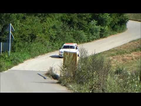 Borko Simovic / Marjan Nikolic - 4. Mionica Rally 2020 - Peugeot 106 1.3 Gr. A