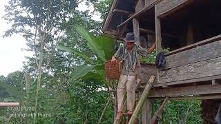 Download lagu ARMADIRAGA HEBUNG TUE. mp3 Download lagu ARMADIRAGA HEBUNG TUE. mp3