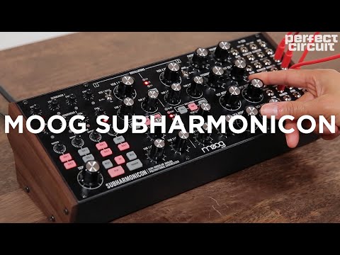 Moog Subharmonicon Semi-Modular Synthesizer Sounds (with DFAM)