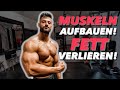 Schneller Muskeln aufbauen & besser Fett verbrennen | 3 Studien