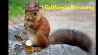 3 years on youtube makes for an interesting time. Here I celebrate with you some of Cat Ivan's channel highlights. Thanks for your friendship and support. Cat Ivan and dad love you and promise to be around for the next 1,000 subscribers and another 100,000 in video views...