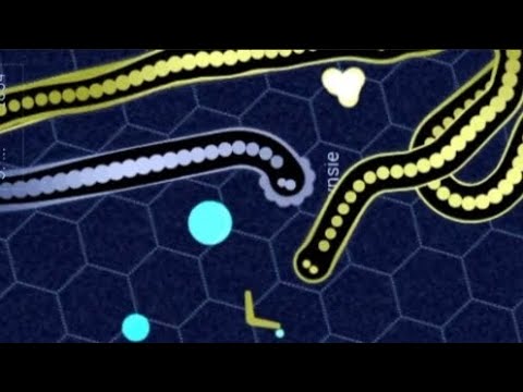 Gulper.io || AR Full Power Force vs @Lynsie #crazygamer #crazygames #snake