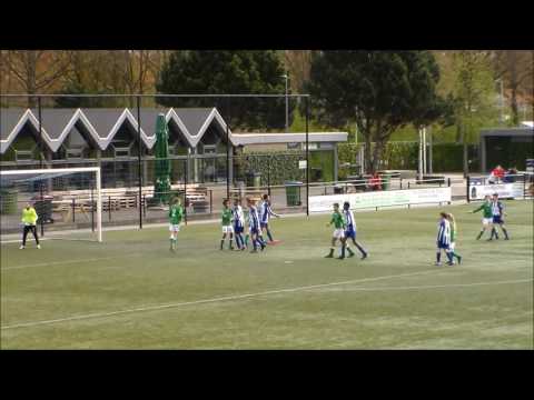 XerxesDZB RVVH JO13-1