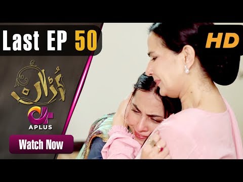 Pakistani Drama | Uraan - Episode 50 | Aplus Dramas | Ali Josh, Nimra Khan, Salman Faisal, Kiran