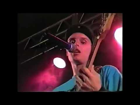 São Silvestre video