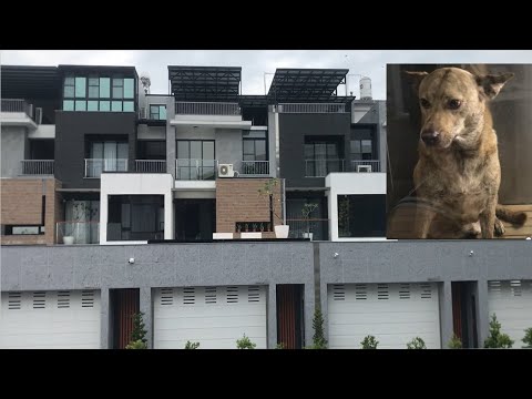 Chaozhou, Pingtung Vlog - Chaozhou Sports Park, casas de US$ 600 mil, Icon Coffee e DIY Doggie Shower