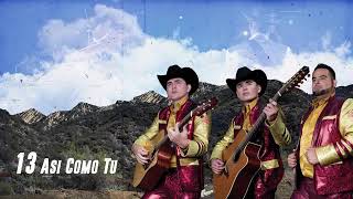 Así Cómo Tu: Los Plebes del Rancho de Ariel Camacho