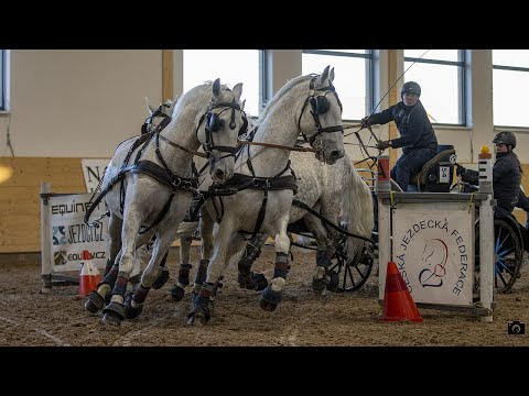 ŽIVĚ 🔴 | spřežení – Slatiňany, 11. 2. 2023 (Zimní jezdecký pohár)