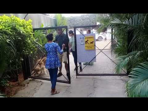 Rahi's Birthday, 2024 at Snoopy Paws🎊😍🎉🎉🥰