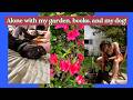 Alone Time Gardening And Reading A Chatty Cozy Vlog