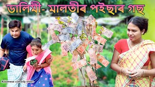 Dalimi - Malotir Money plant | Assamese comedy video | Assamese funny video