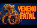 Top 15 Animales Más VENENOSOS Del Mundo