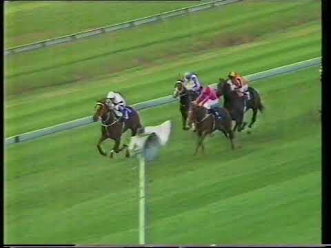 1991 QLD Oaks