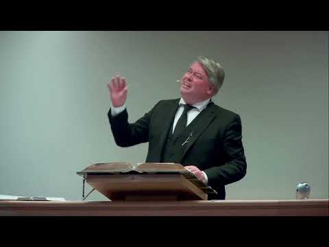 Ds. W.A. Zondag | Mattheüs 17:1-3 | De Borg bemoedigd