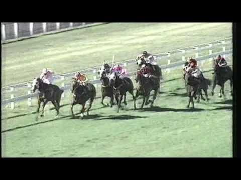 1991 BATC Sprint - Tinys Finito