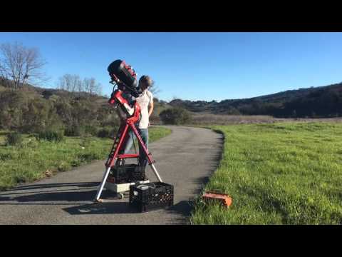 Avalon Instruments M-Uno Fast Reverse