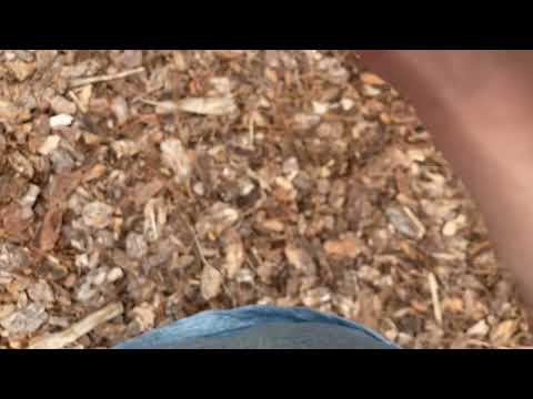 Second Eskip Bandscan June 12 2022