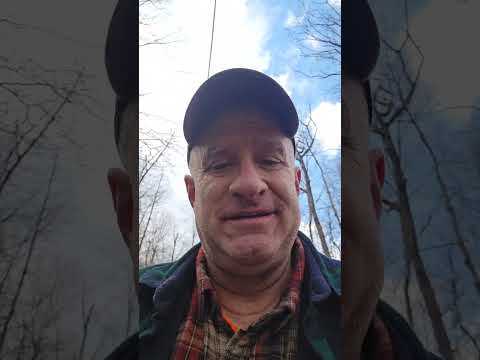 Winter Scouting for Successful Whitetail Deer Hunting