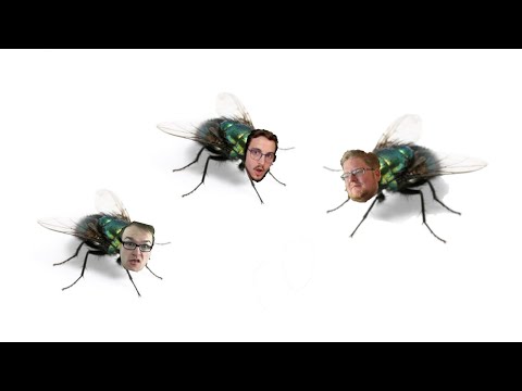 Fliegenbrain Pietsmiet