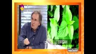 İltihaplı Eklem Romatizmasına Romatoid Artrit Karşı Kür - TRT DİYANET