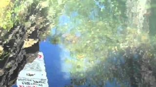 Village Creek in Roebuck Springs, 2010