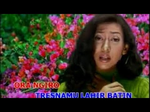 Safitri - Yen Aku Ngerti - IMC RECORD JAVA