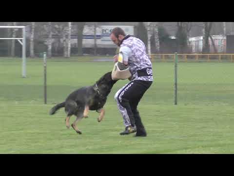 Svod NO 2017 - Grim Suché Lazce