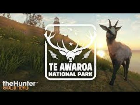 I Hunted Every Animal On Te Awaroa!