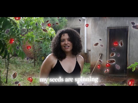 Seeds Are Spinning (Official Video)