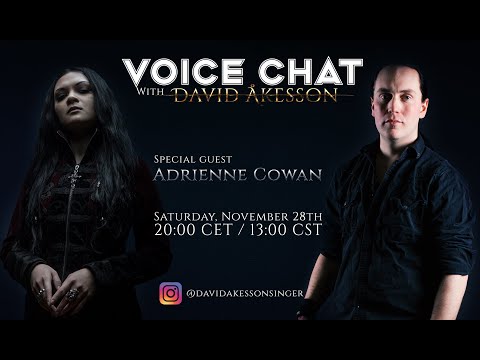 Voice Chat - David Akesson and  Adrienne Cowan