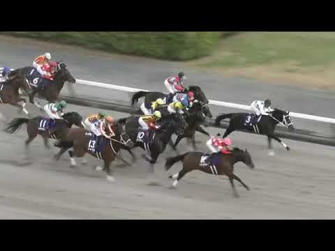 2022.12.04 Champions Cup (JPN) - Jun Light Bolt