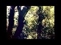 Jindagi Ko Mitho Yatra Nepali Song
