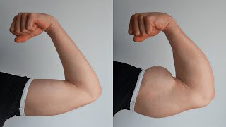 Bigger Arms in 5 MINUTES ! ( Home Workout )