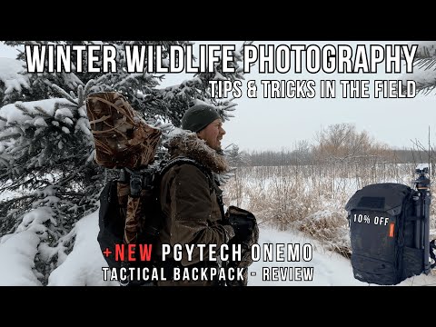WINTER Wildlife PHOTOGRAPHY in the SNOW | NEW PGYTECH 35L OneMo Tactical Backpack Review