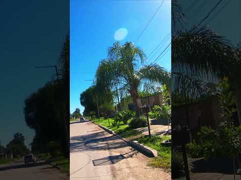 🚲 Paseo en bici por un barrio silencioso de Argentina