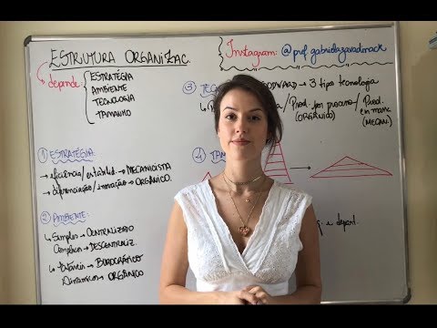 Introduction to Organizational Structure.