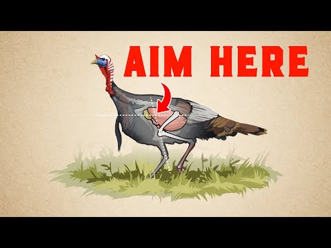 Shotgun & Bow Shot Placement Guide: Turkey Hunting Tactics