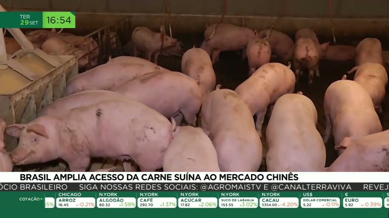 Brasil amplia acesso da carne suína ao mercado chinês