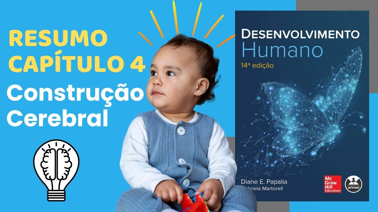 Desenvolvimento do Cérebro na Infância: Resumo Capítulo 4 (parte 3/3)