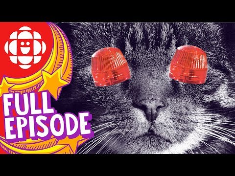 Holy Baloney | Why Do Cats Have Whiskers? | CBC Kids