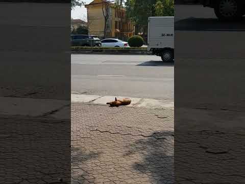 Summer with some wine