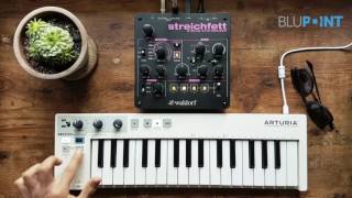 Video thumbnail for Waldorf Streichfett Review (No Talk) by Blupoint Music