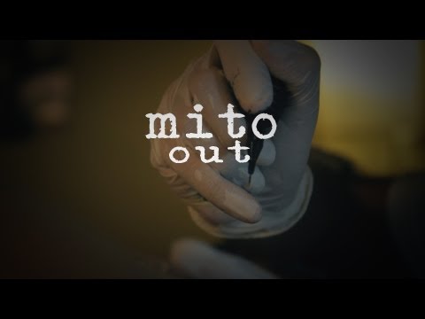 Mito - out //CraneoMedia